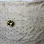 Cream with thread floral work soft organza