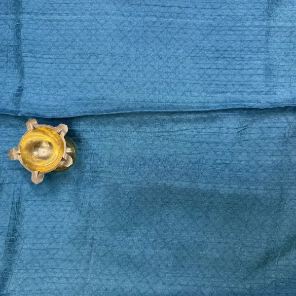 Blue floral print soft tussar silk saree