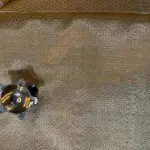 Mustard yellow cotton tissue fancy saree