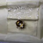 Cream thread work semi organza saree