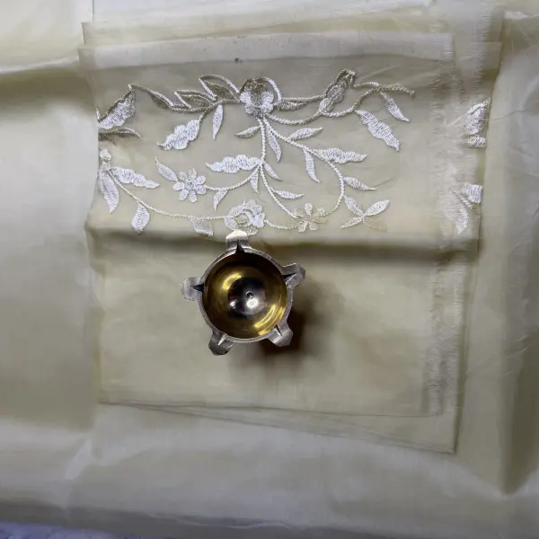 Cream thread work semi organza saree