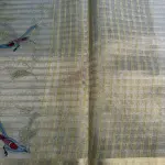 Cream Tissue Organza with Bird thread work Saree