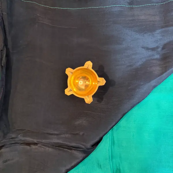 Green duck motif satin Benaras Saree