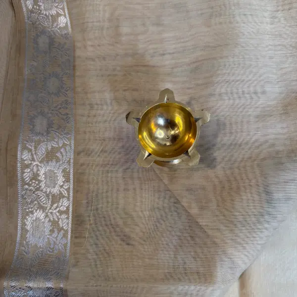 Cream Floral thread work fancy saree