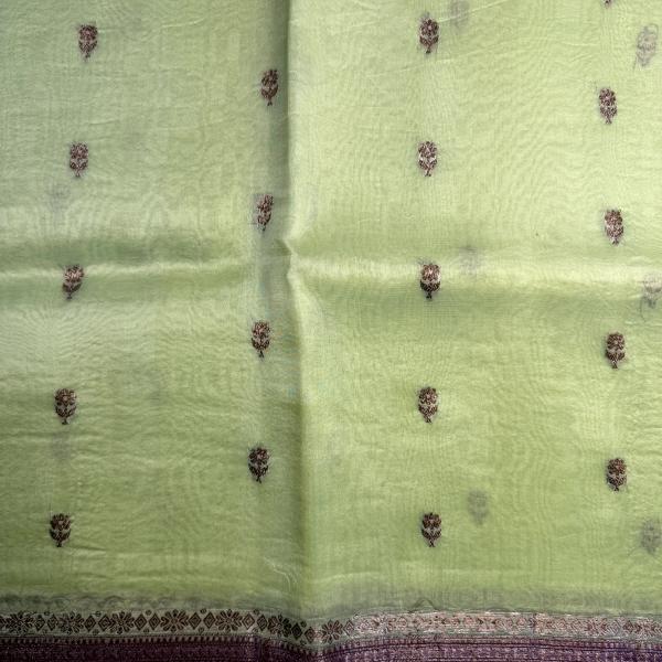 Pista Green with pink pure kora organza saree