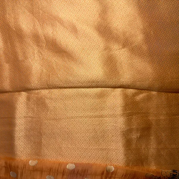 Light Orange Meenakari work Semi Tussar silk saree