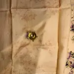 Beige floral Digital Print with lace border Muga Silk Saree