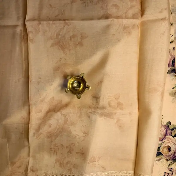 Beige floral Digital Print with lace border Muga Silk Saree