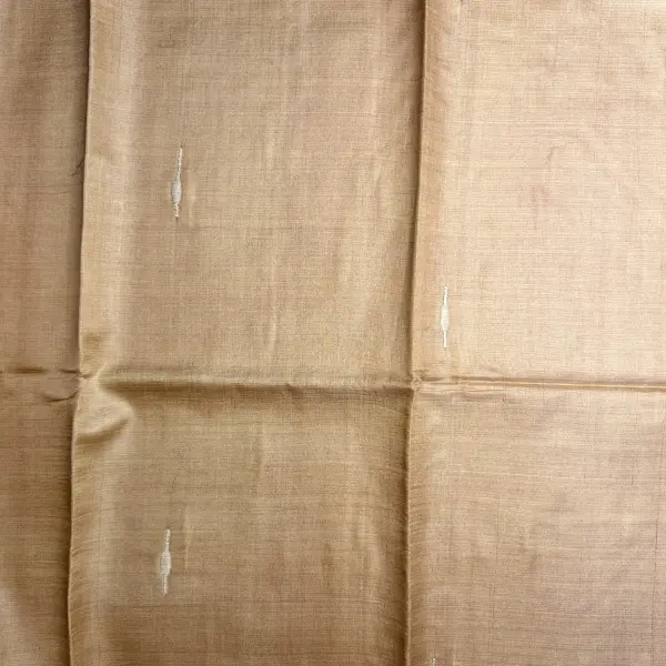 Beige Body With knot work Pure Tussar Silk Saree