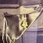 Chocolate Brown with stripes Organza Saree