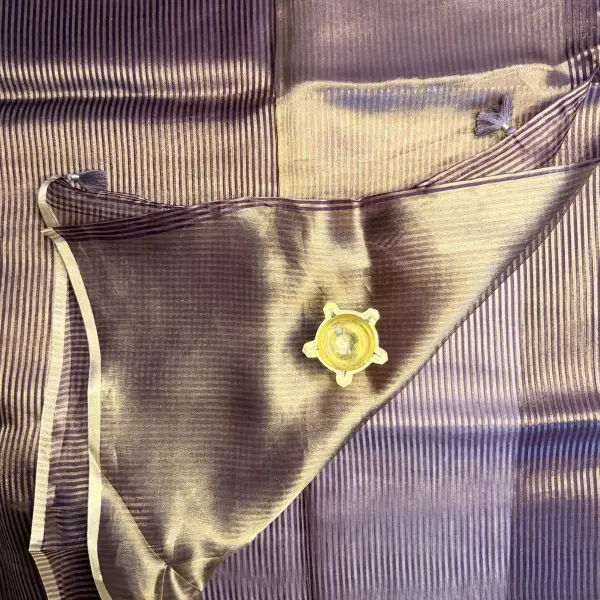 Chocolate Brown with stripes Organza Saree