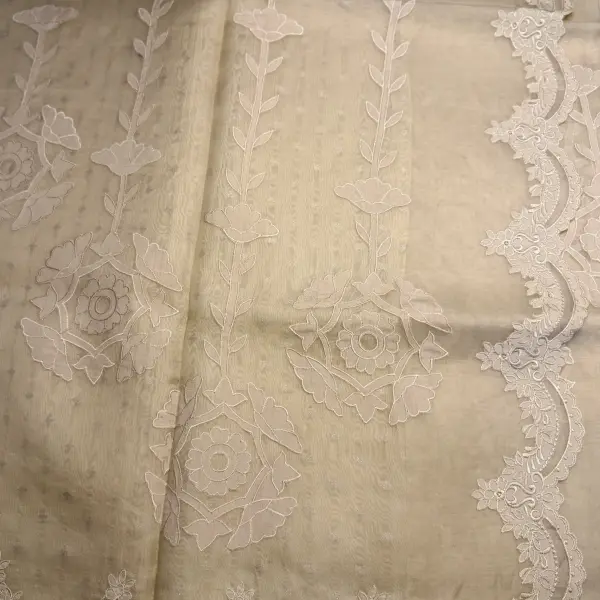 Light Beige Scallop Design Pure Organza Saree