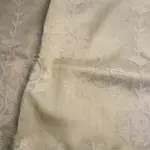 Light Beige Scallop Design Pure Organza Saree