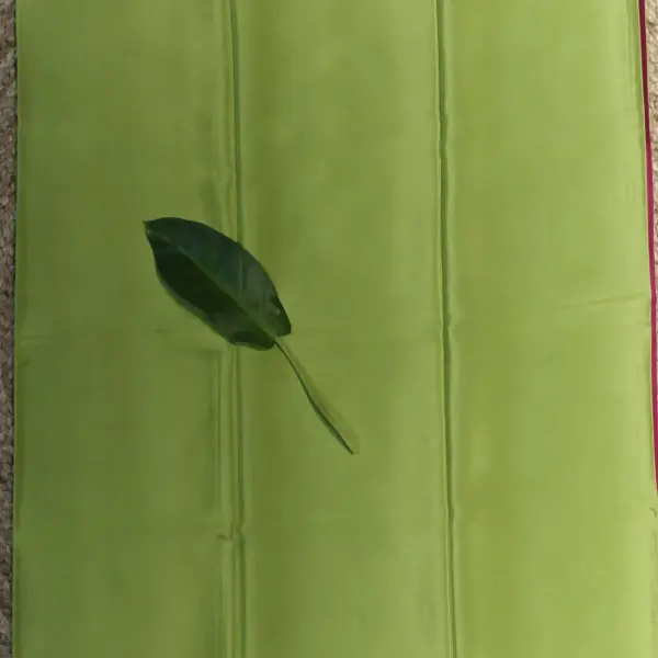 Parrot green with contrast pink pallu and blouse pure crepe silk saree 120gsm