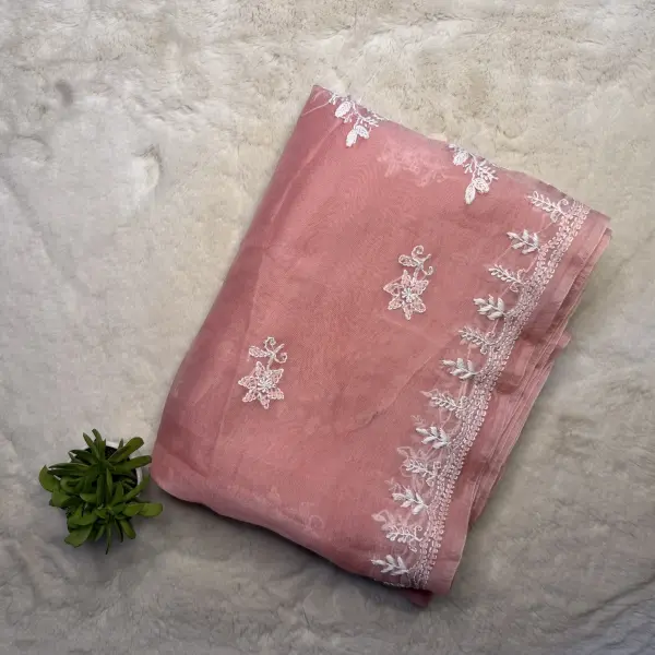 Peach Chikankari work pure organza saree