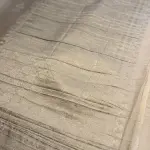 Cream Crush With buttas Viscose georgett fancy saree