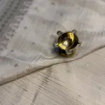 Cream Crush With buttas Viscose georgett fancy saree