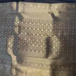 Gold with Black zari border tissue Semi Silk Saree