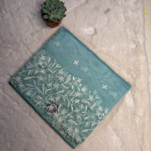 Sky blue with thread work semi organza saree