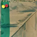 Dark green lehariya tissue soft silk saree