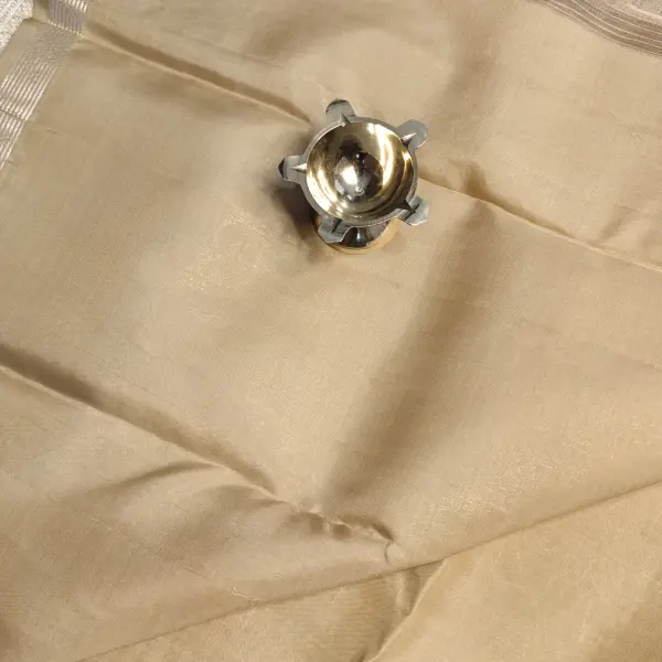 Beige self design silk saree