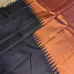 Honey orange with Navy blue Raising border silk saree